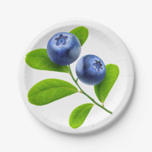 Blueberries Paper Plates