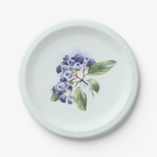 Blueberries Paper Plates