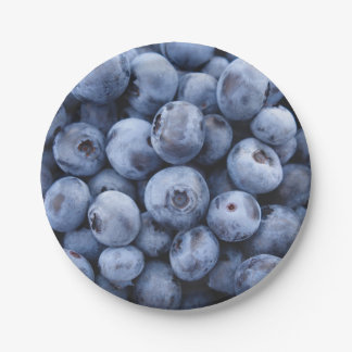 Blueberries Paper Plates