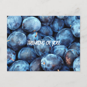 BLUEBERRIES POSTCARD