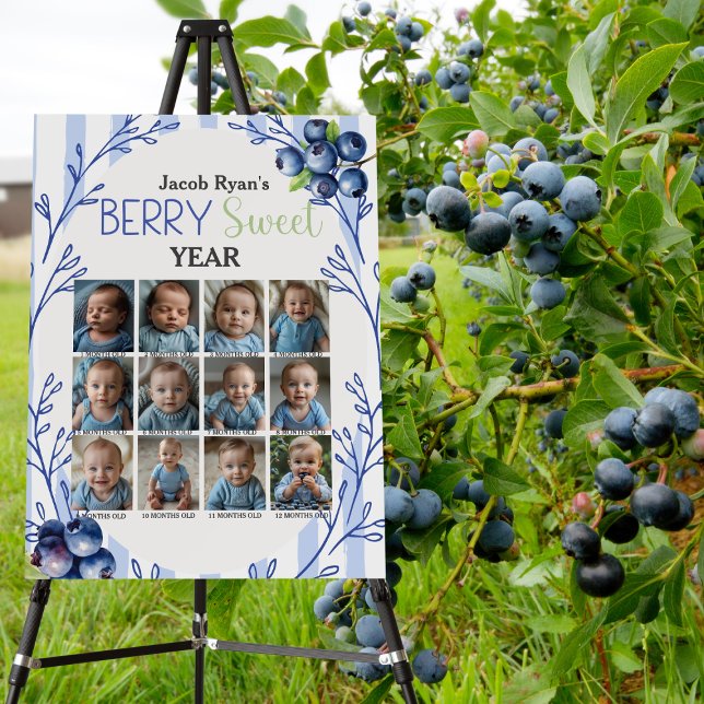 Blueberry 1st Year Photo Milestone 12 Month Photo Foam Board (Blueberry 1st Year Photo Milestone 12 Month Photo Foam Board)