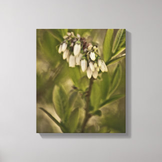 Blueberry 585 canvas print