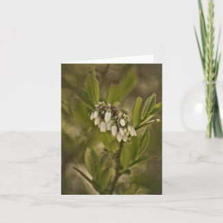 Blueberry 585 card