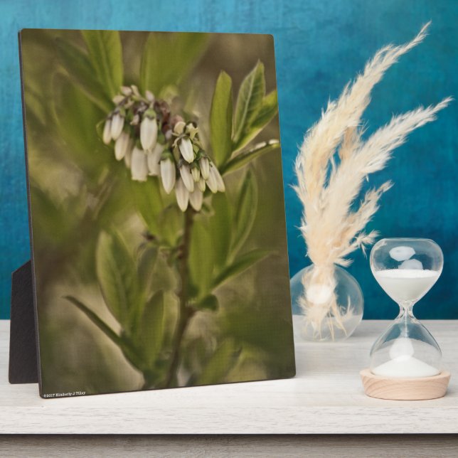 Blueberry 585 plaque (Side)