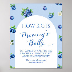 BlueBerry Baby Shower Guess How Big is her Belly  Poster