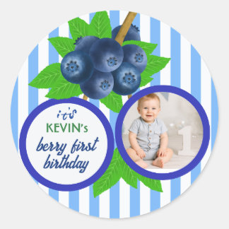 Blueberry Berry First Birthday Party Classic Round Sticker