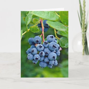 Blueberry Birthday Card by dryfhout at Zazzle