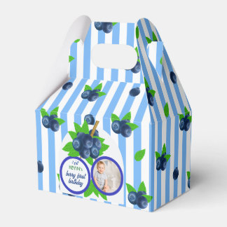 Blueberry Birthday Party Berry First Birthday Favor Boxes