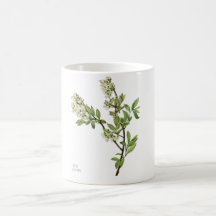Blueberry blossom coffee mug
