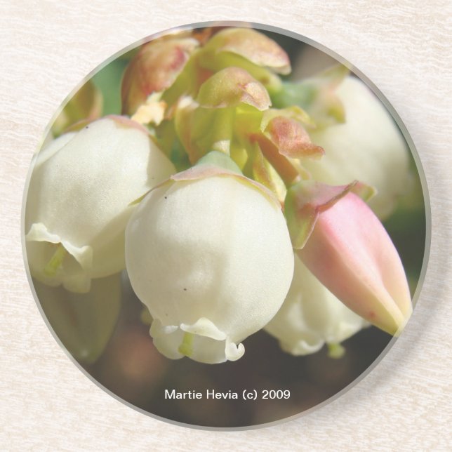 Blueberry Blossoms - Coaster (Front)