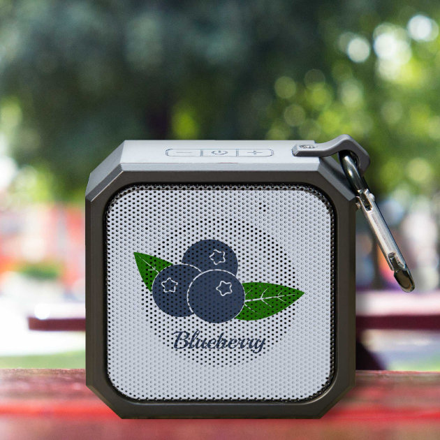 Blueberry 2024 bluetooth speaker