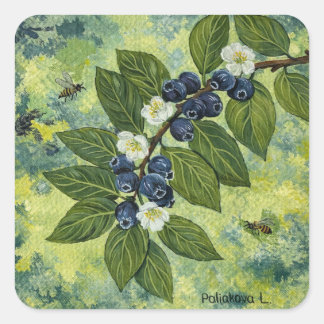 Blueberry Branch Botanical Illustration Square Sticker