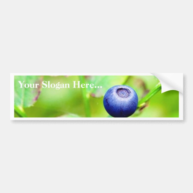 Blueberry Bumper Sticker (Front)