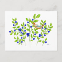 Blueberry Bush Gnome postcard
