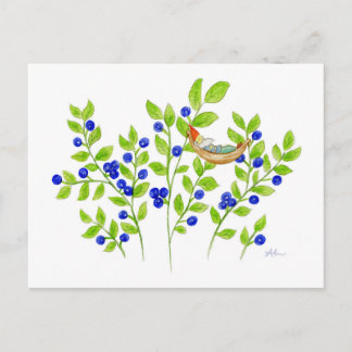Blueberry Bush Gnome postcard