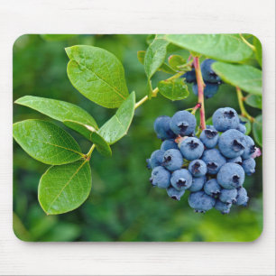 Blueberry Bush Mouse Pad