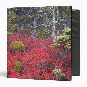 Blueberry bushes and pines binder