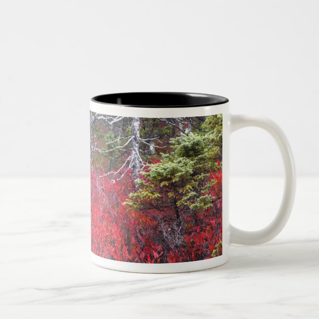 Blueberry bushes and pines Two-Tone coffee mug (Right)