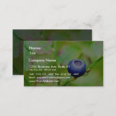 Blueberry Business Card (Front/Back)