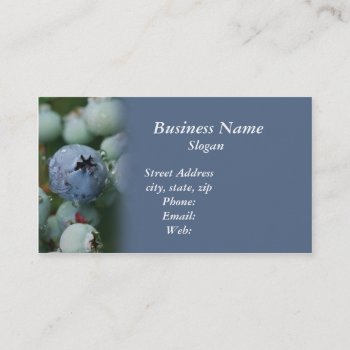 Blueberry  Business Card by clcbizcards at Zazzle