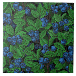 Blueberry Ceramic Tile