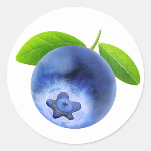 Blueberry Classic Round Sticker