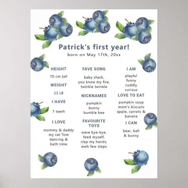 Blueberry First Birthday Milestone Birthday Poster (Front)
