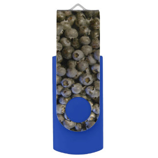 Blueberry Flash Drive