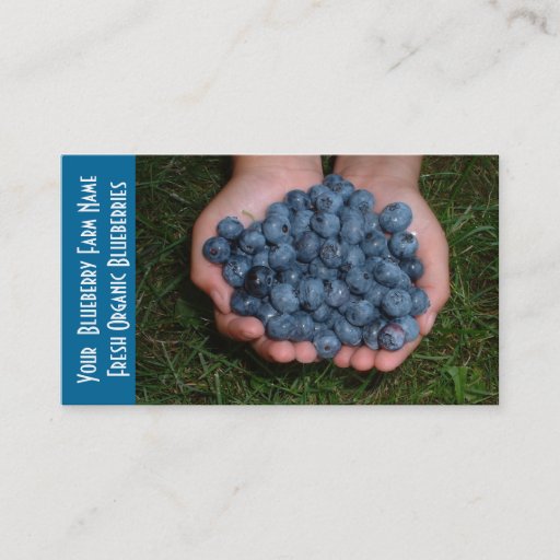 Customizable Blueberry  Fruit Growers Business Card Template