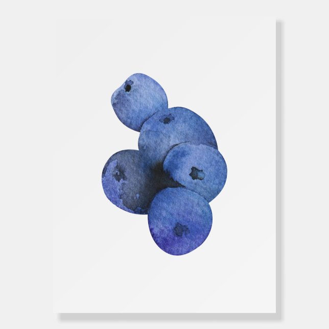 Blueberry, Fruit Watercolor Foam Board (Front)