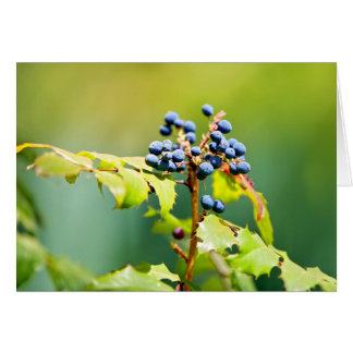 Blueberry II Cards