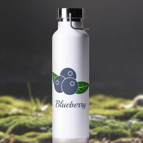 Blueberry Insulated Bottle