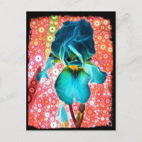 Blueberry Iris Postcard