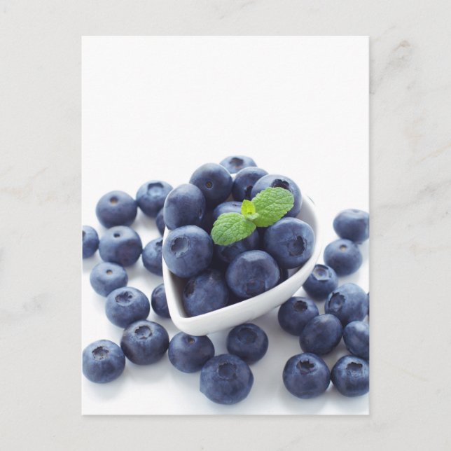 Blueberry isolated on white postcard (Front)