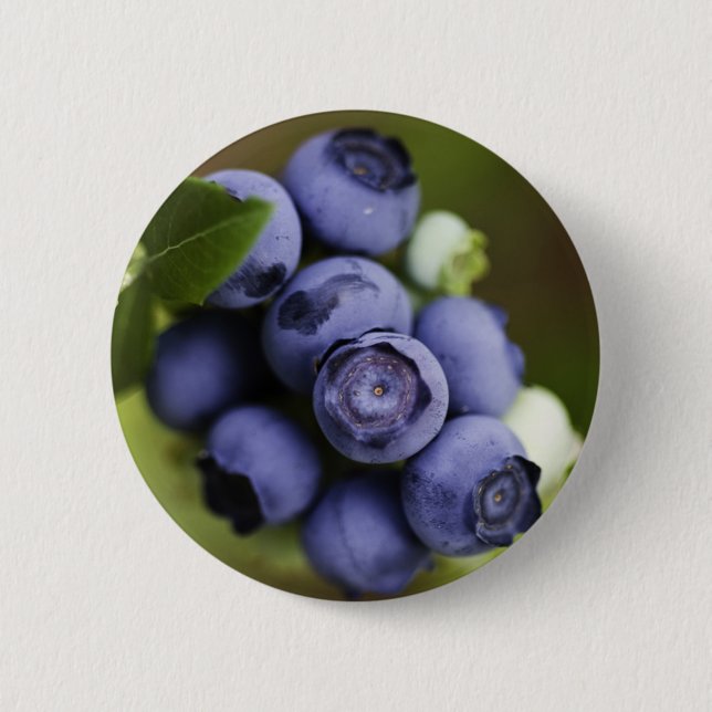 blueberry lover pinback button (Front)