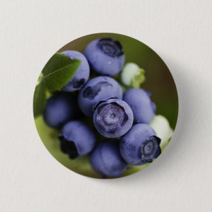 blueberry lover pinback button