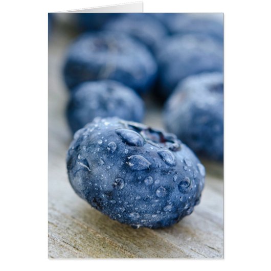 Blueberry Macro Cards (Front)