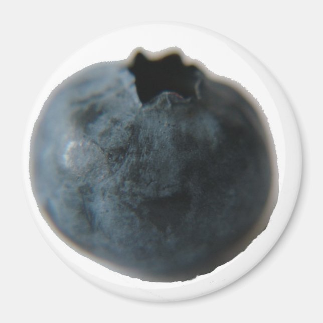 Blueberry magnet (Front)