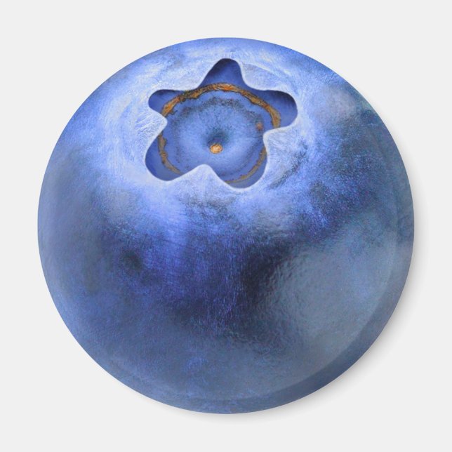 Blueberry Magnet (Front)