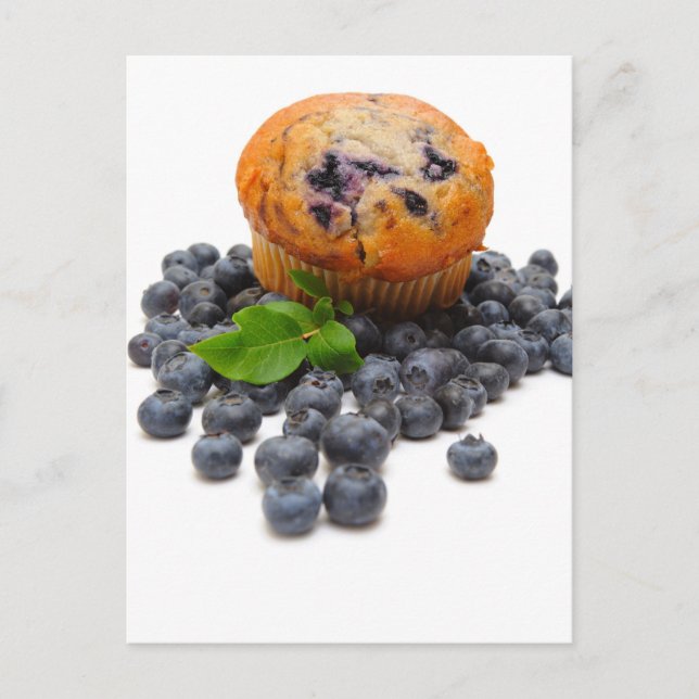 Blueberry Muffin Postcard (Front)