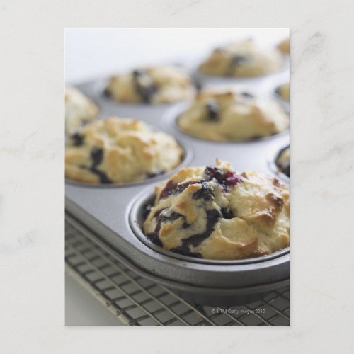 Blueberry muffins in a baking tin on a cooling postcard