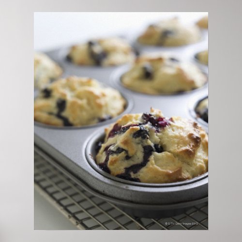 Blueberry muffins in a baking tin on a cooling poster