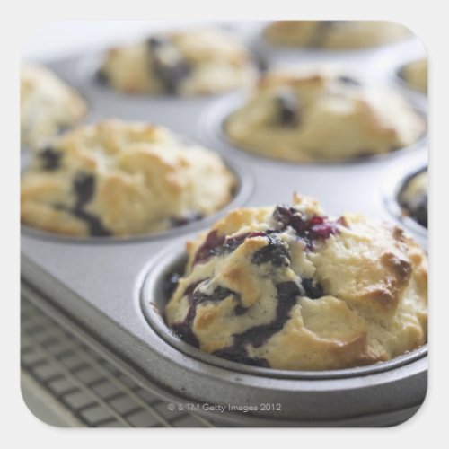 Blueberry muffins in a baking tin on a cooling square sticker