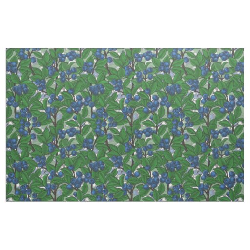 Blueberry on white fabric