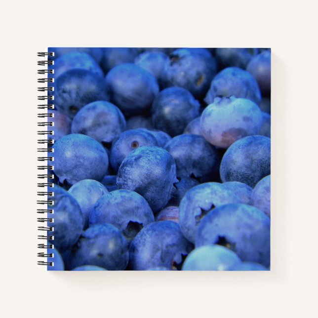 blueberry pile notebook (Front)