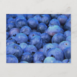 blueberry pile postcard