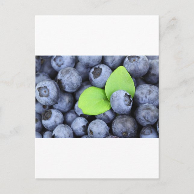 BLUEBERRY POSTCARD (Front)