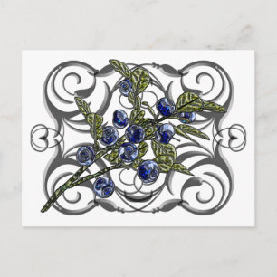 Blueberry Postcard