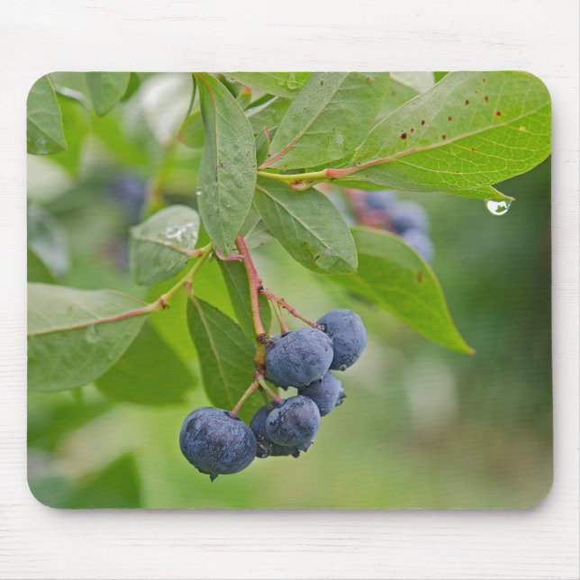 Blueberry Rain Mouse Pad (Front)