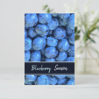 Blueberry Season Postcard